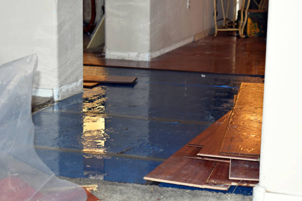 Professional Burst Pipe Cleanup technician working in Uxbridge, MA